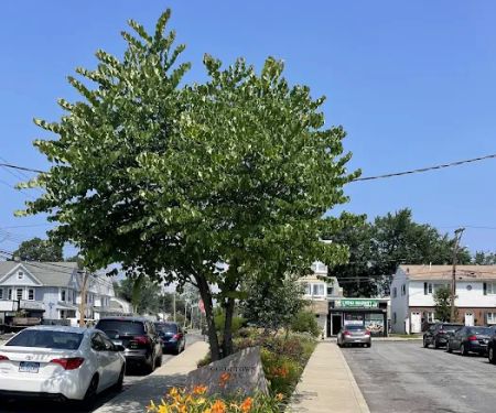 Goosetown Park