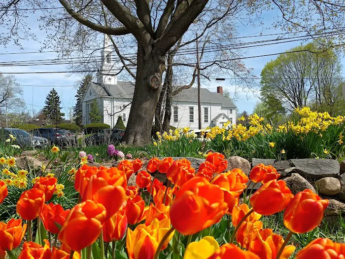 Colorblends House & Spring Garden Picture 9