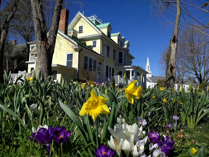 Colorblends House & Spring Garden Picture 3