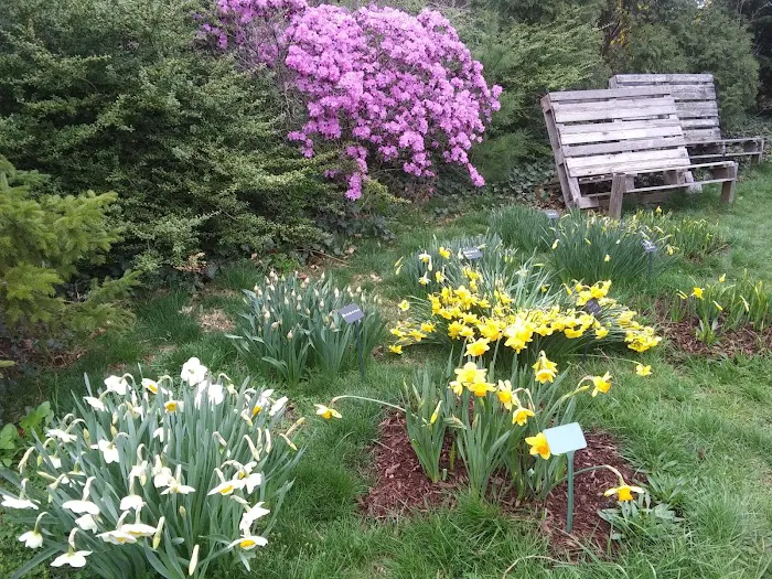 Colorblends House & Spring Garden Picture 8