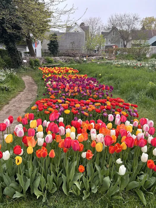 Colorblends House & Spring Garden Picture 2