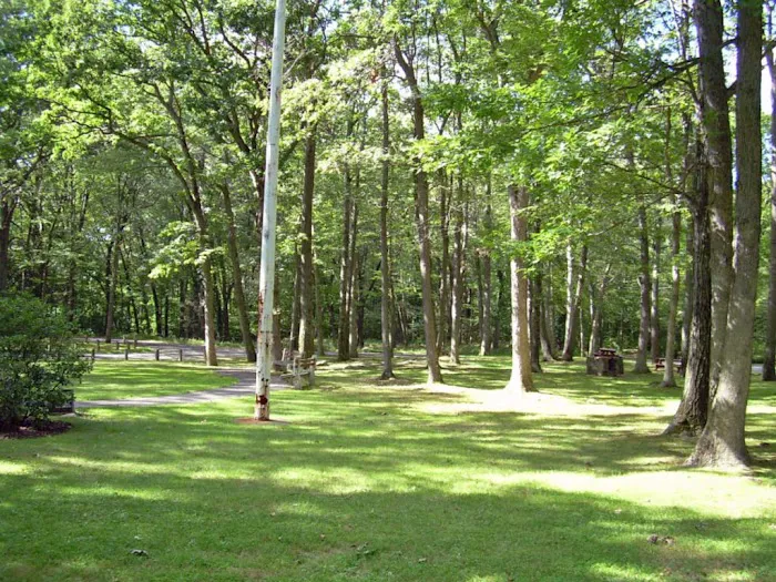 Beach Memorial Park Picture 2