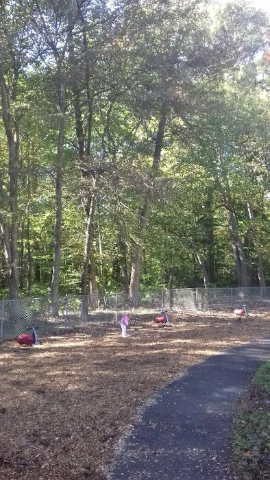 Beach Memorial Park Picture 10