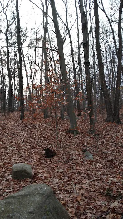 Beach Memorial Park Picture 6