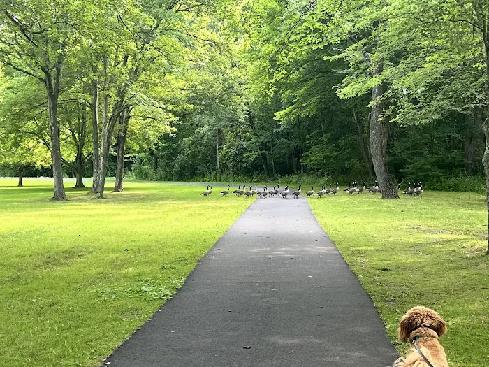 Twin Brooks Park Picture 1
