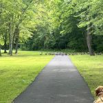 Twin Brooks Park