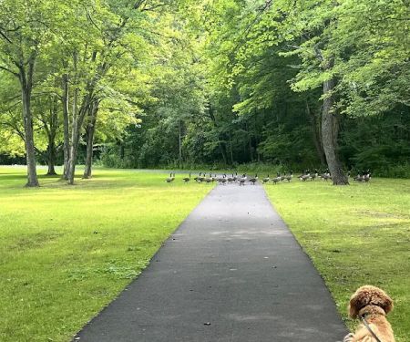 Twin Brooks Park