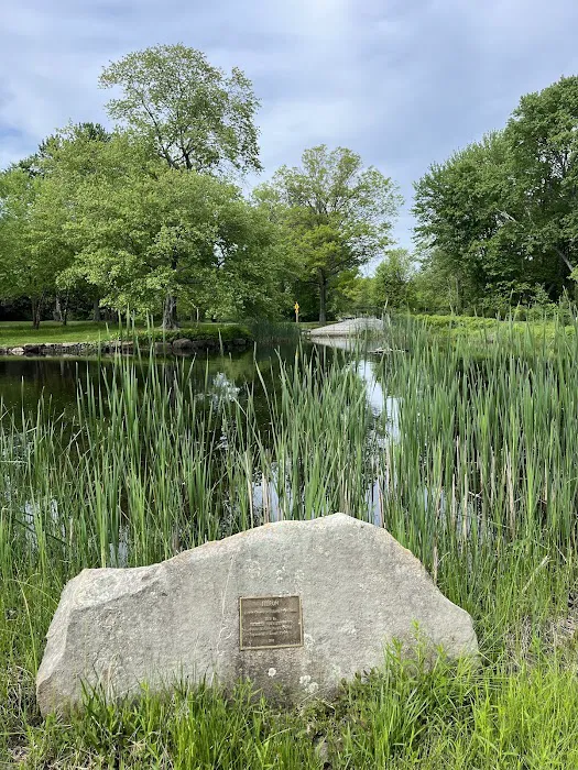 Twin Brooks Park Picture 6