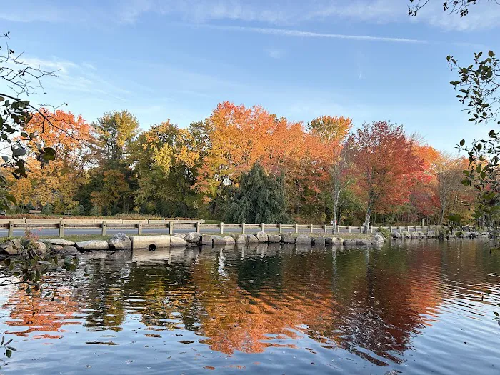 Twin Brooks Park Picture 5
