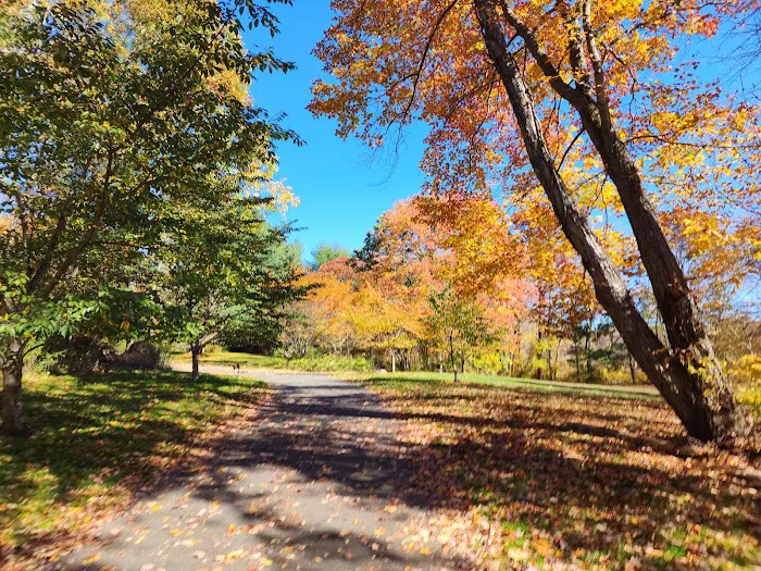 Twin Brooks Park Picture 3