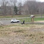 Twin Brooks Park - Parking Lot