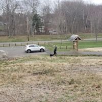 Twin Brooks Park - Parking Lot ico