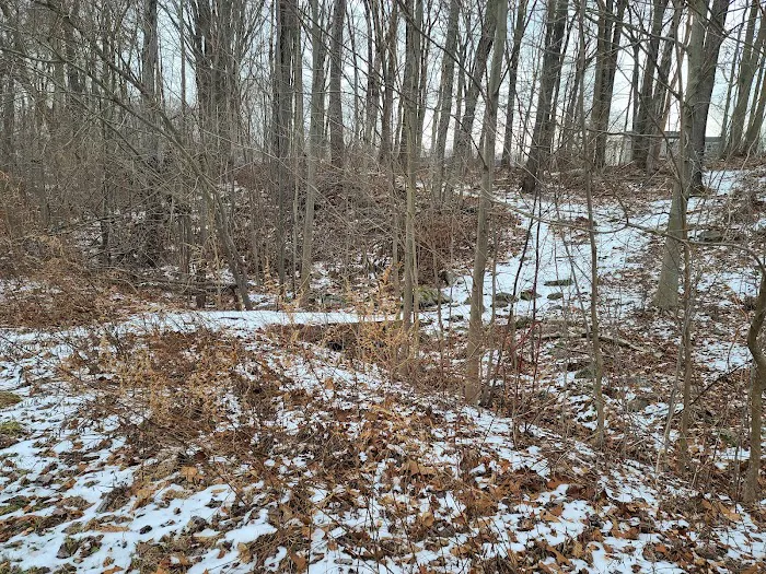 Booth Hill Brook Trail Picture 8