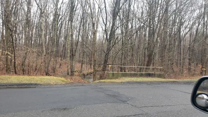 Booth Hill Brook Trail Picture 10