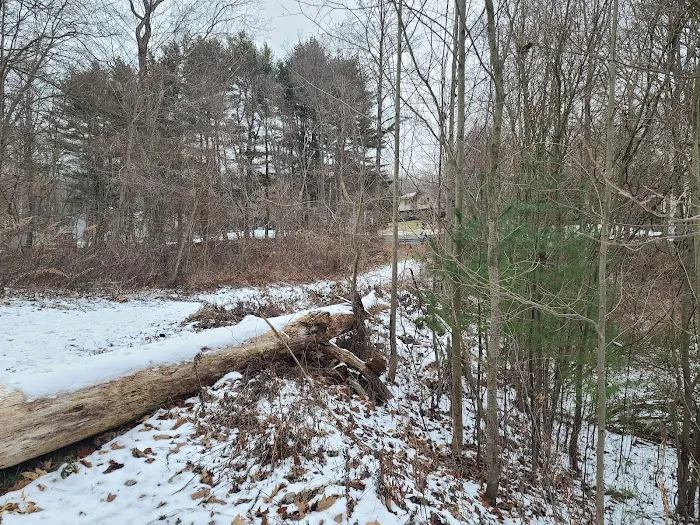 Booth Hill Brook Trail Picture 5