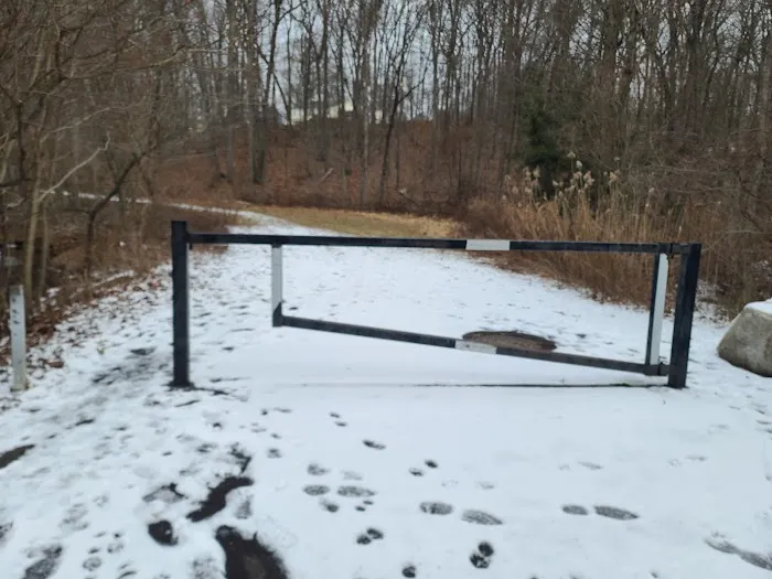 Booth Hill Brook Trail Picture 6