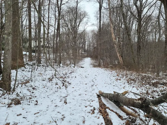 Booth Hill Brook Trail Picture 2