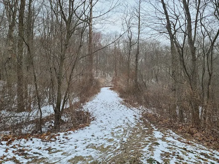 Booth Hill Brook Trail Picture 4