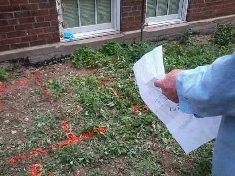 Cook & Grow Garden Picture 1