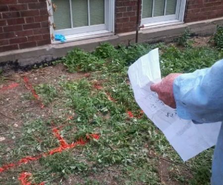 Cook & Grow Garden