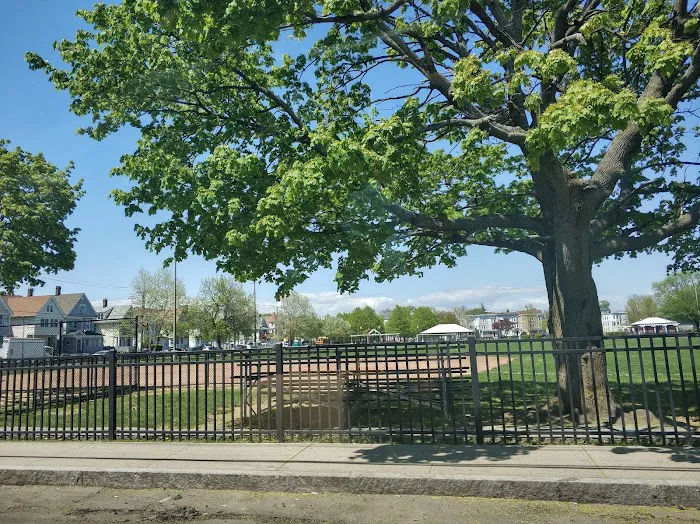 West End Park Picture 9