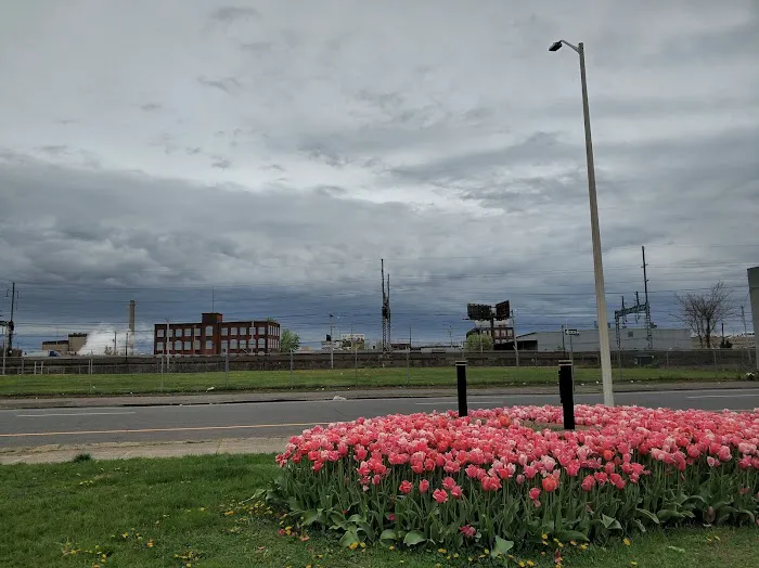 West End Park Picture 7