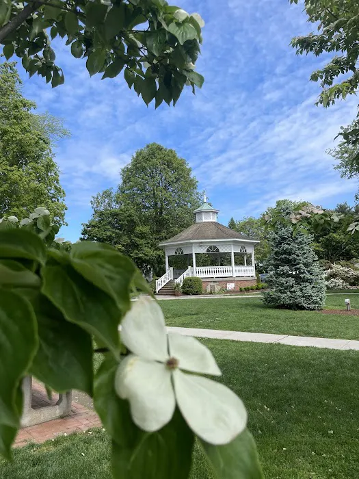 Sherman Town Green Picture 1