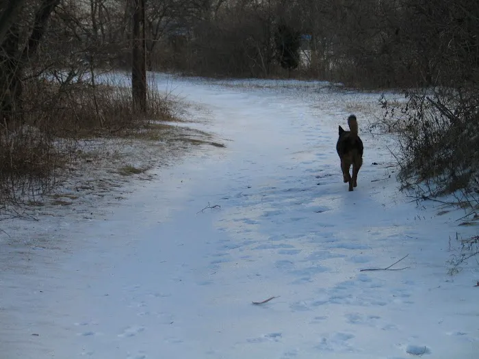 Ash Creek/Riverside Drive Open Space Picture 4