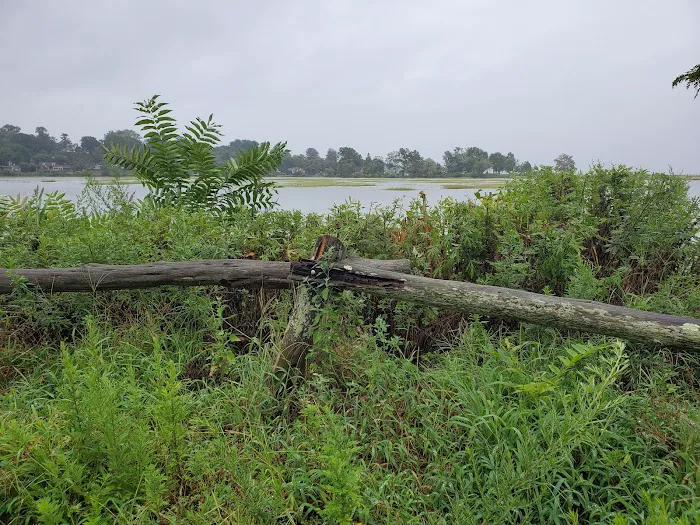 Ash Creek/Riverside Drive Open Space Picture 7