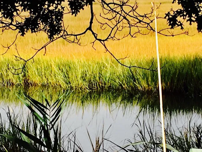 Salt Marsh Trail Picture 3
