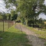 Salt Marsh Trail