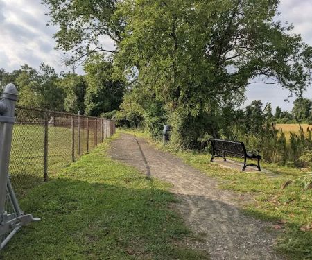 Salt Marsh Trail