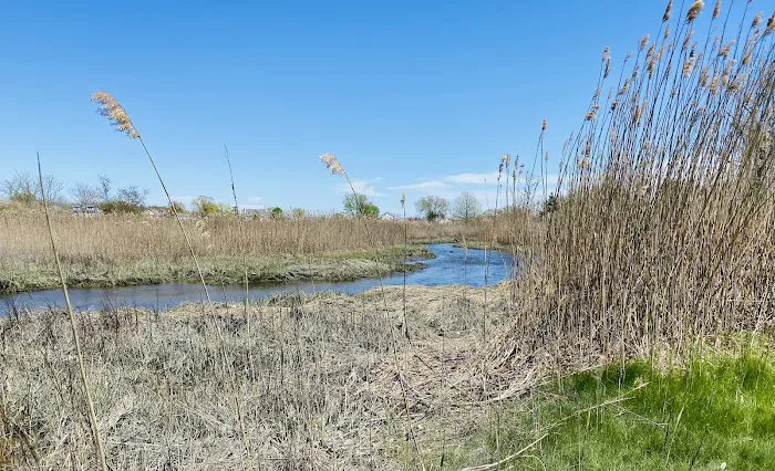Salt Marsh Trail Picture 6