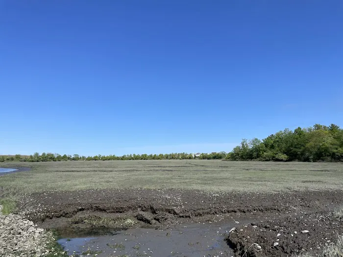 Pine Creek Recreation Plots Picture 1