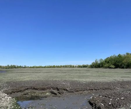 Pine Creek Recreation Plots