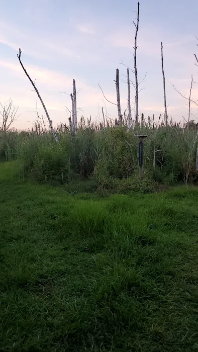 Serenity Path Picture 1