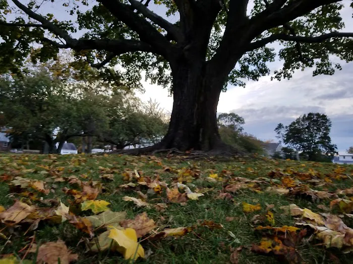 Veterans Park Picture 2
