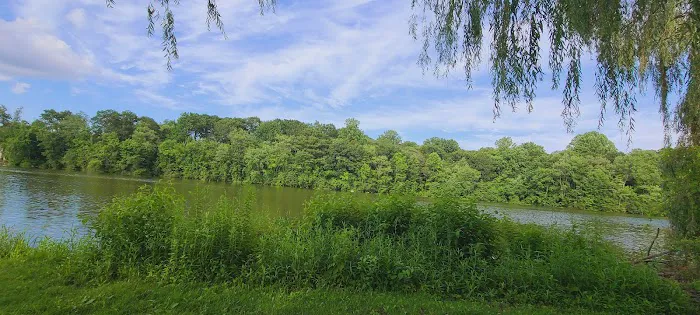 Hatters Park Picture 2