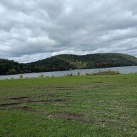 Danbury Dog Rock ico