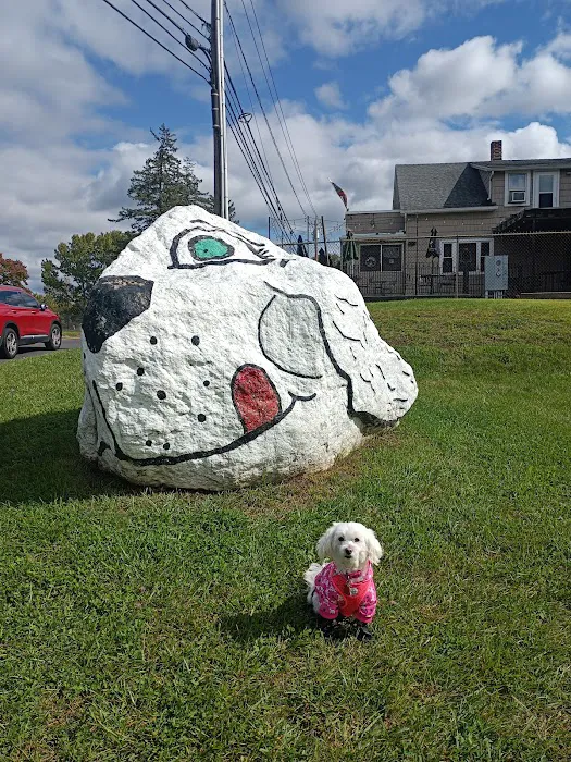 Danbury Dog Rock Picture 2