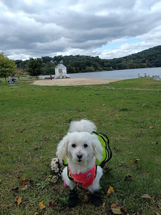 Danbury Dog Rock Picture 7