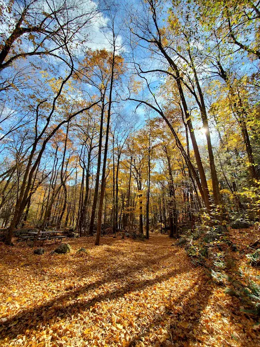 Pootatuck State Forest Picture 9