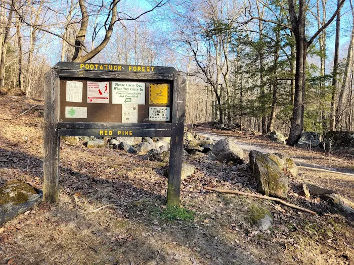 Pootatuck State Forest Picture 4