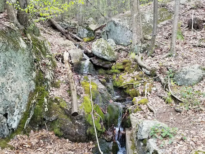 Pootatuck State Forest Picture 2