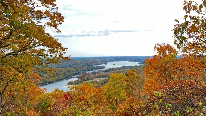 Pootatuck State Forest Picture 5