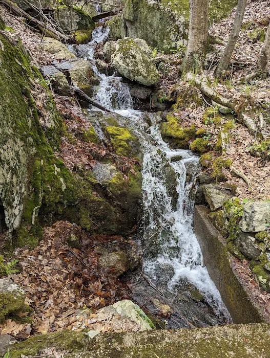 Pootatuck State Forest Picture 6