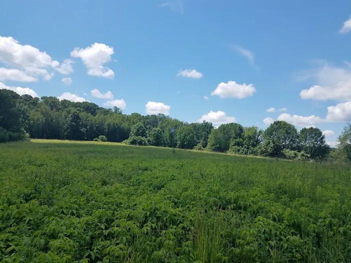 Bear Mountain Reservation Picture 7