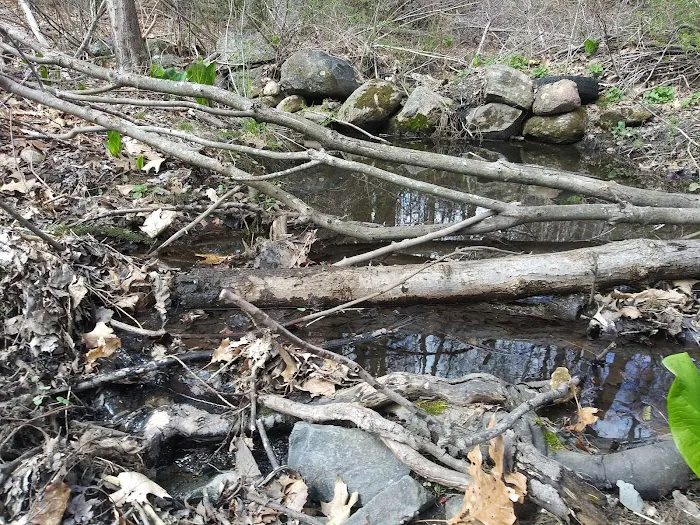 Bear Mountain Reservation Picture 5