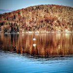 Danbury Town Park
