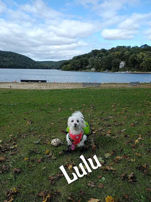 Candlewood Town Park Picture 9